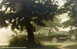 sp25_l